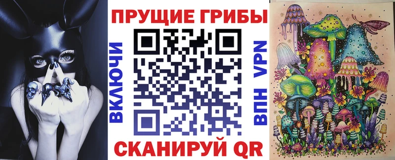 Псилоцибиновые грибы Psilocybine cubensis  Черняховск 